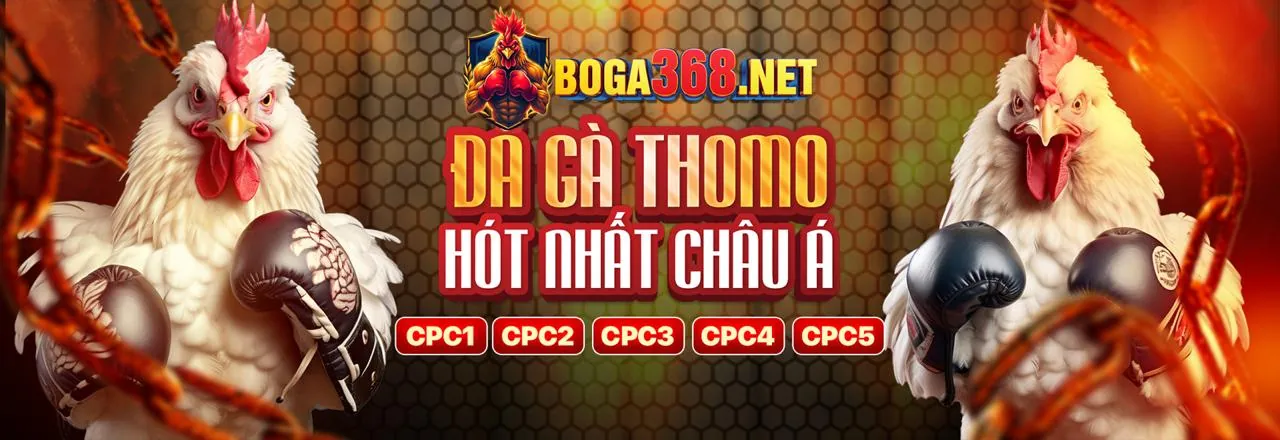 Sân vận động đầy ắp khán giả với các biểu tượng cá cược thể thao, thể hiện sự hứng khởi và năng động của cá cược DR88WIN.