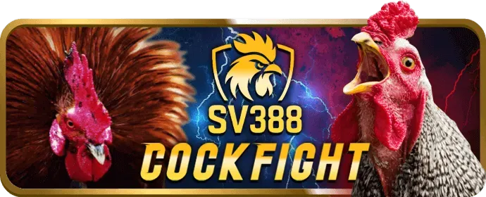 Chương trình hoàn trả không giới hạn dr88 win